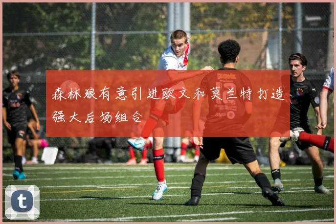 森林狼有意引进欧文和莫兰特打造强大后场组合